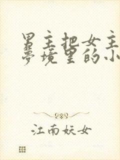 男主把女主拖进梦境里的小说