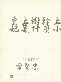 皇上树干上太子妃是什么小说