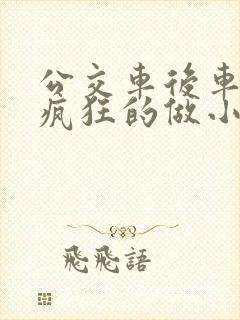 公交车后车座的疯狂的做小