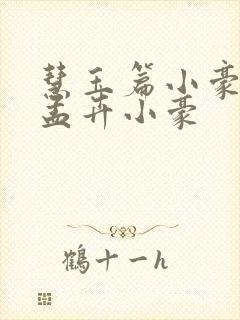 慧玉篇小豪续上孟卉小豪