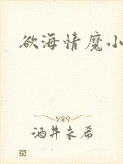 欲海情魔小说