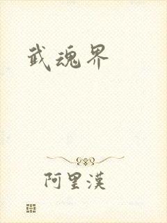 武魂界