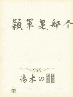 颖军是哪个军阀