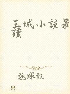 王城小说最近阅读