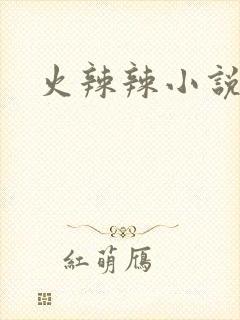 火辣辣小说全集