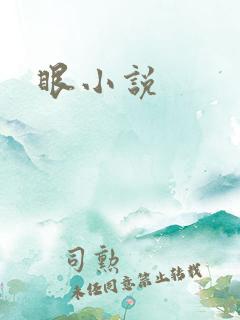 眼小说