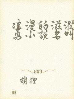 浪漫的滋润刘大勇小说名叫什么?