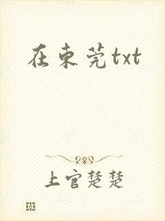 在东莞txt