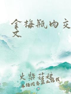 金梅瓶肉交白话文