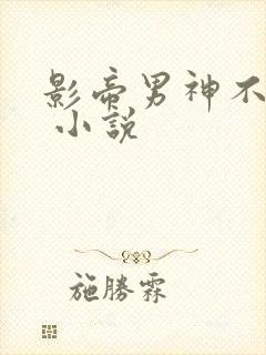 影帝男神不节制 小说