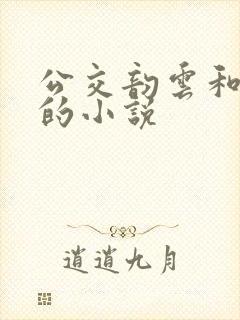 公交韵云和小健的小说