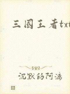 三国王者txt