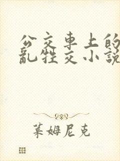 公交车上的疯狂乱牲交小说