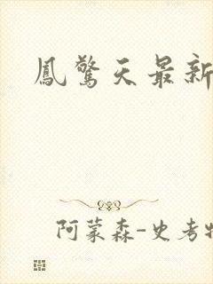 凤惊天最新章节