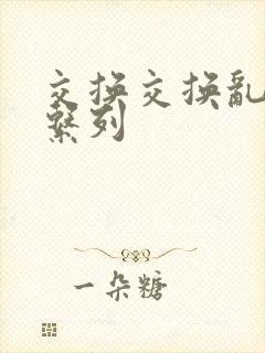 交换交换乱杂烩系列