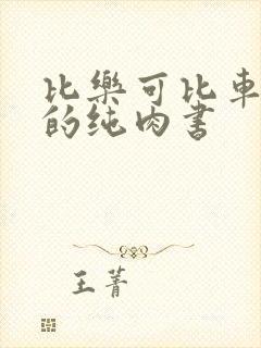 比乐可比车速快的纯肉书