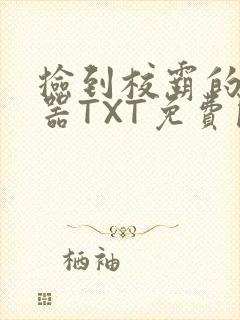 捡到校霸的遥控器TXT免费阅读