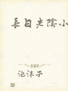 长日光阴小说
