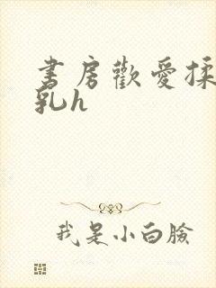 书房欢爱揉捏娇乳h