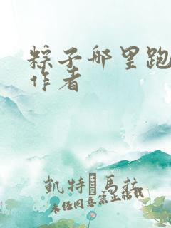 粽子哪里跑小说作者