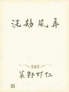 洗劫 风弄