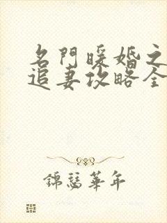 名门暖婚之权爷追妻攻略全文免费阅读