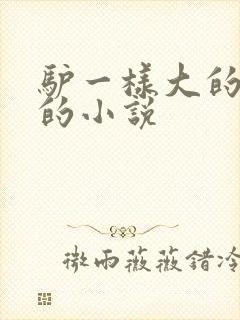 驴一样大的凶器的小说