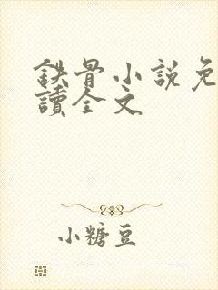 铁骨小说免费阅读全文