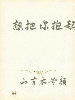 想把你抱起来撞