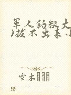 军人的粗大(h)拔不出来小说