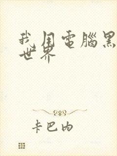 我用电脑黑了全世界