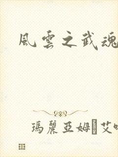 风云之武魂