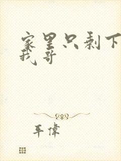 家里只剩下我和我哥