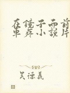 在镜子面前做开车疼小说片段