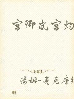 宫卿岚宫灼小说