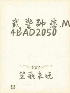 武警帅痞.MP4BAD2050
