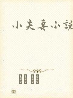 小夫妻小说