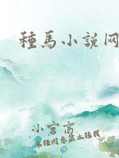 种马小说网