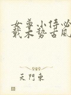 女尊小侍必须佩戴木势古风
