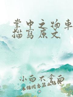 掌中之物车里震描写原文