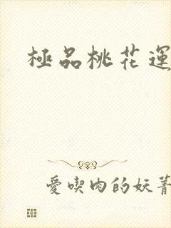 极品桃花运下载