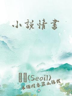 小说情书