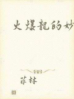 火爆龙的妙管家