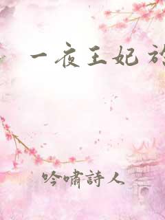 一夜王妃 于墨