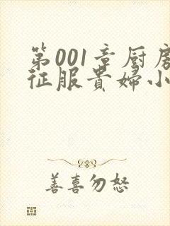 第001章厨房征服贵妇小说