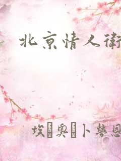 北京情人卫慧