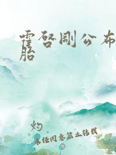 霍启刚公布龙凤胎