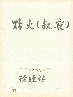 点火(叔宠)