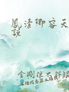 凤清卿容天凌小说
