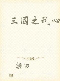 三国之我心狂想